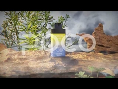 POCO BL10000 再充電可能 使い捨て式 バイプ 20ml 5% Nic 650mAh メッシュコイル フルーツファルバー