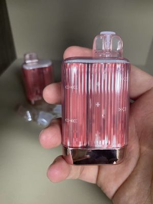 OEM Te5000 13.5ml 5000はコイル使い捨て可能なVape 950mah網の吹く