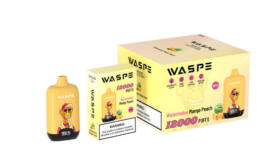 12000Puffs メッシュコイルとC型充電ケーブルを備えた使い捨てペンを