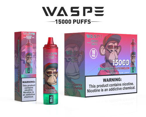 SUS304 ビッグ・パフ・ヴァープ 650mAh バッテリー容量 22ml エジュース容量