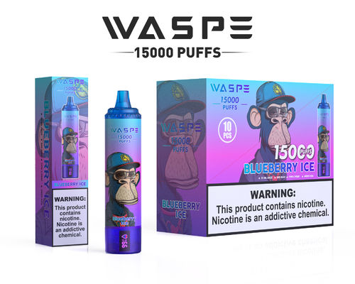 ビッグパフ SUS304 5% ニコチン 15000パフ 12つのフルーツ味のためのvape