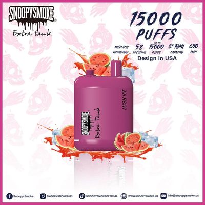 タイプC充電可能なバッテリーとダブルタンクフルーツ味のvapeキット - 15000パフ - 18ml E液体