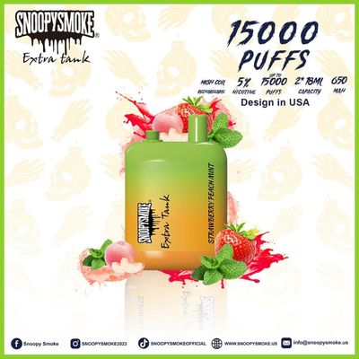 タイプC充電可能なバッテリーとダブルタンクフルーツ味のvapeキット - 15000パフ - 18ml E液体